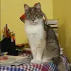 Отзыв от Ксения Пирогова